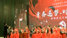 华信娱乐平台高雅藝術進校園活動走進江蘇信息職業技術學院