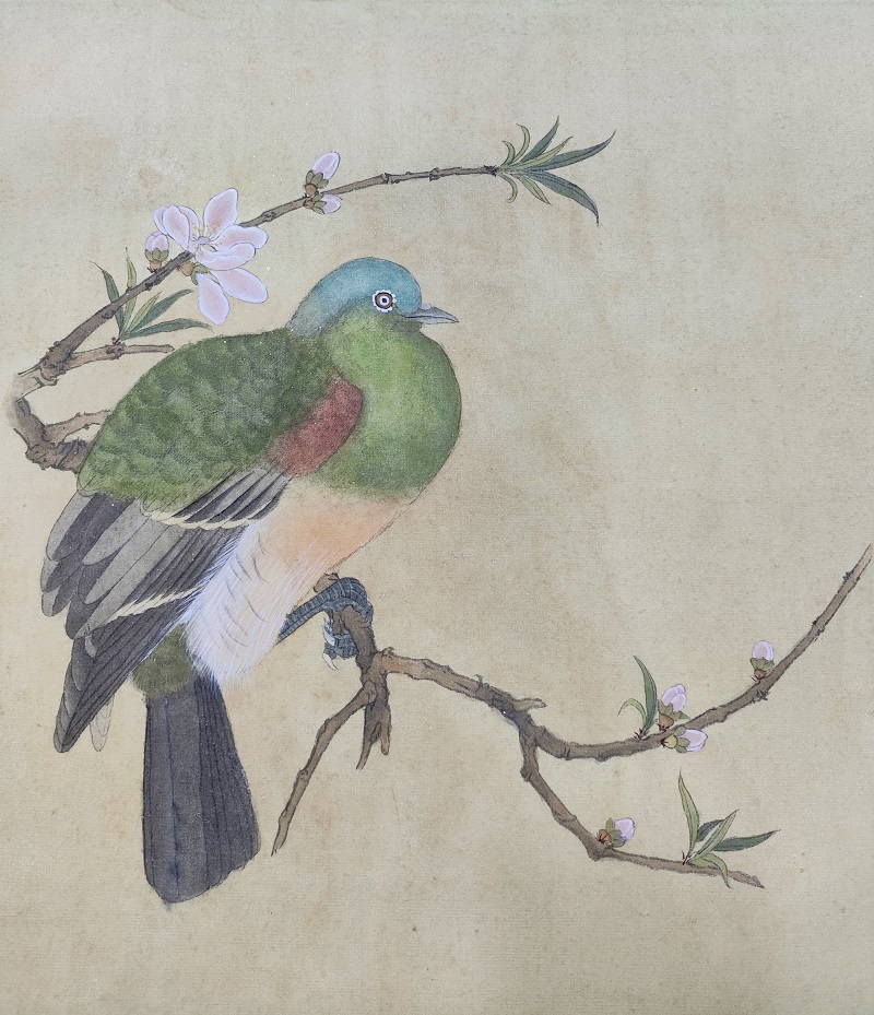 劉蘇瑩   指導教師：黃玉蘭